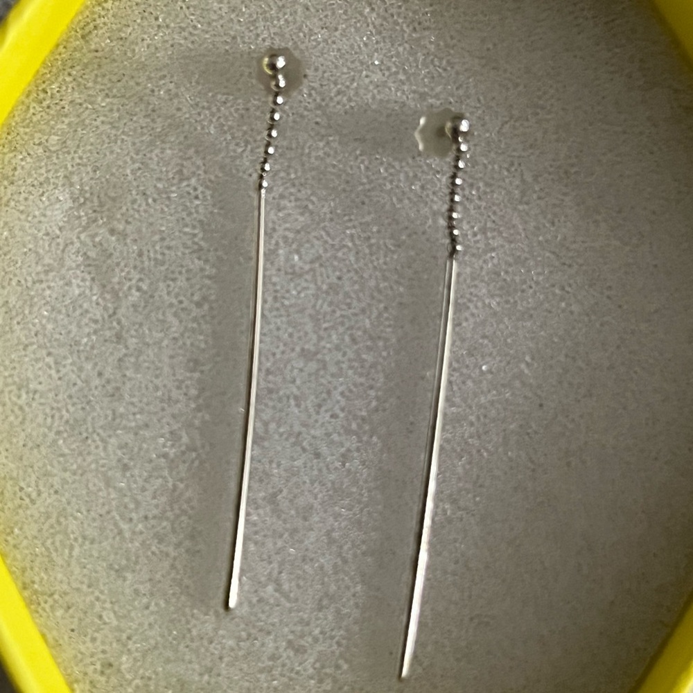 Elegant Silver Drop Earrings